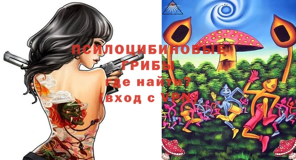 гашик Арсеньев