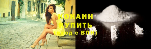 гашик Арсеньев
