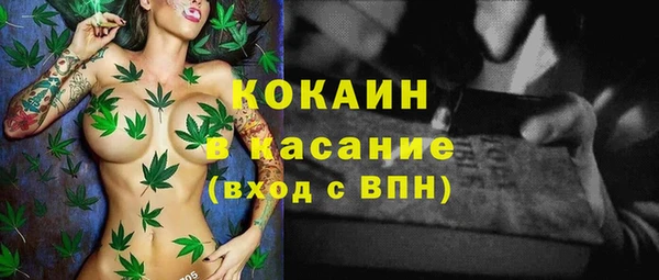 гашик Арсеньев